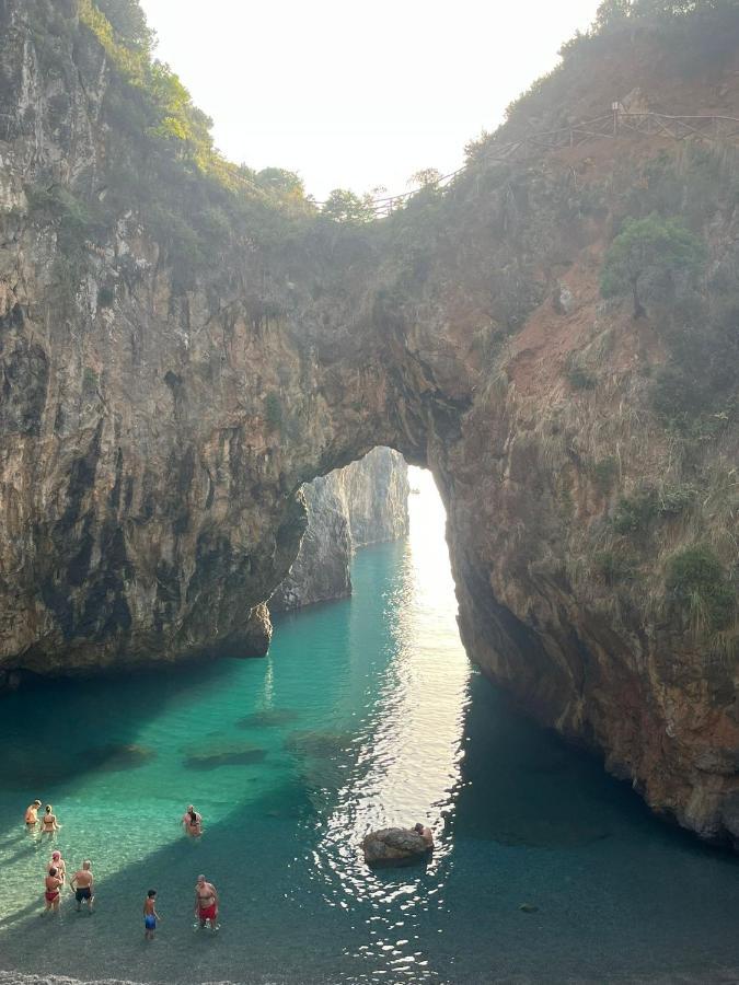 La Conchiglia Bed And Breakfast San Nicola Arcella Exterior foto